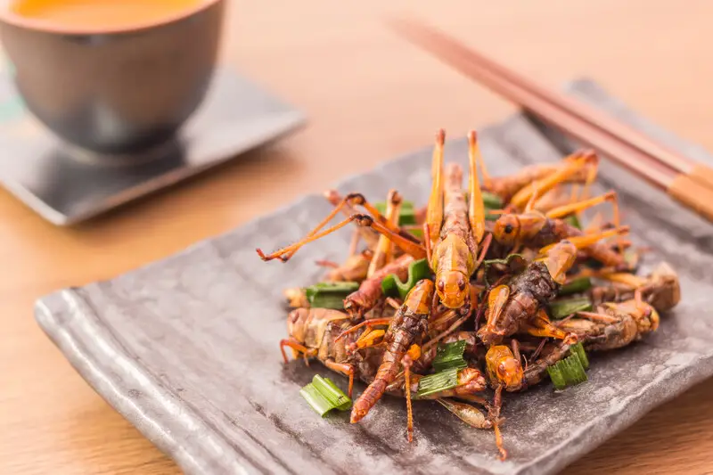 fried crickets on a small tapas plate with a tea cup in the background. Asian dinner setting with chopsticks
