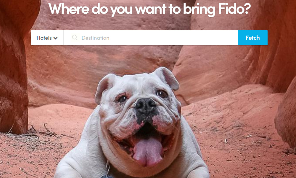 bring fido home page