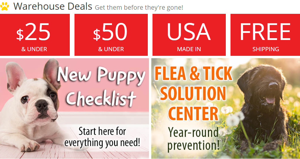dog.com home page