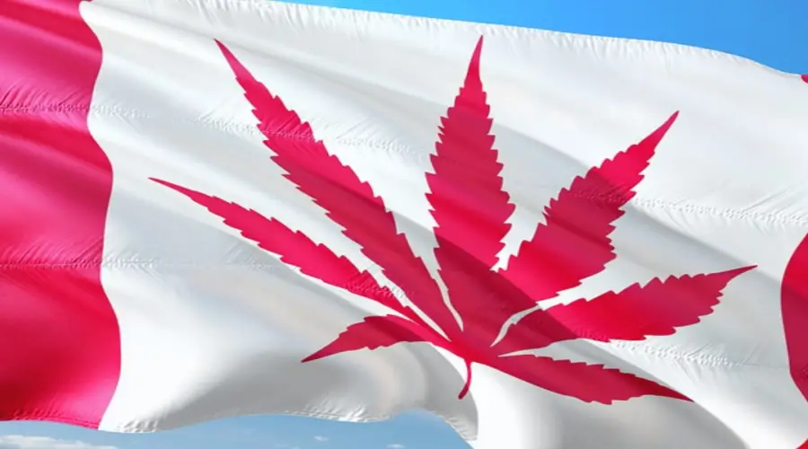 Photo of the Canadian flag with the maple leaf replaced with a red marijuana leaf