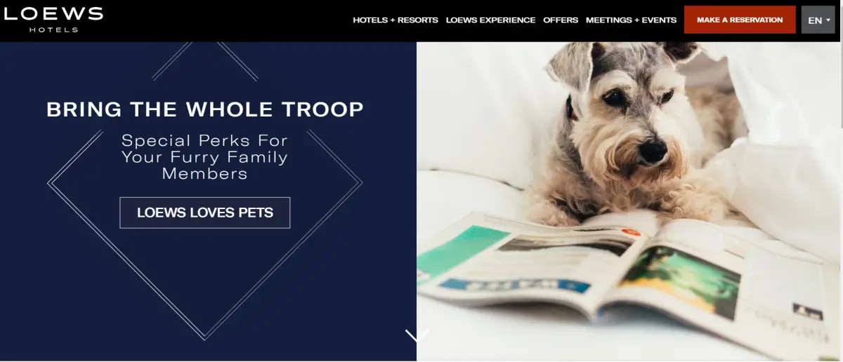 This is a screenshot taken from the Loews Hotels website showing they encourage families to bring the whole troop with special pet-friendly room deals for furry family members.