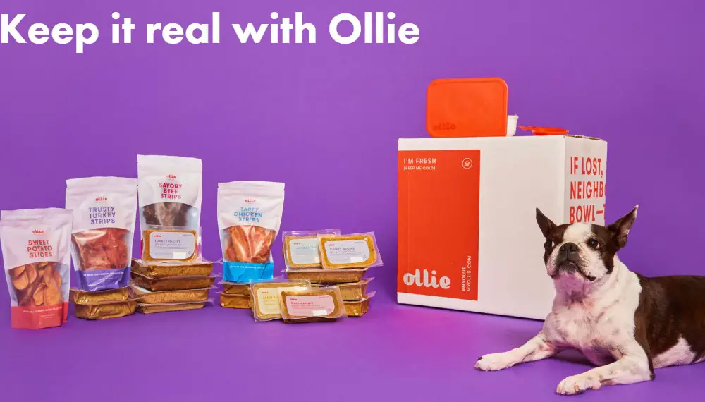 ollie affiliate sign up page