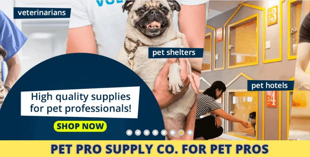 pet pro supply home page