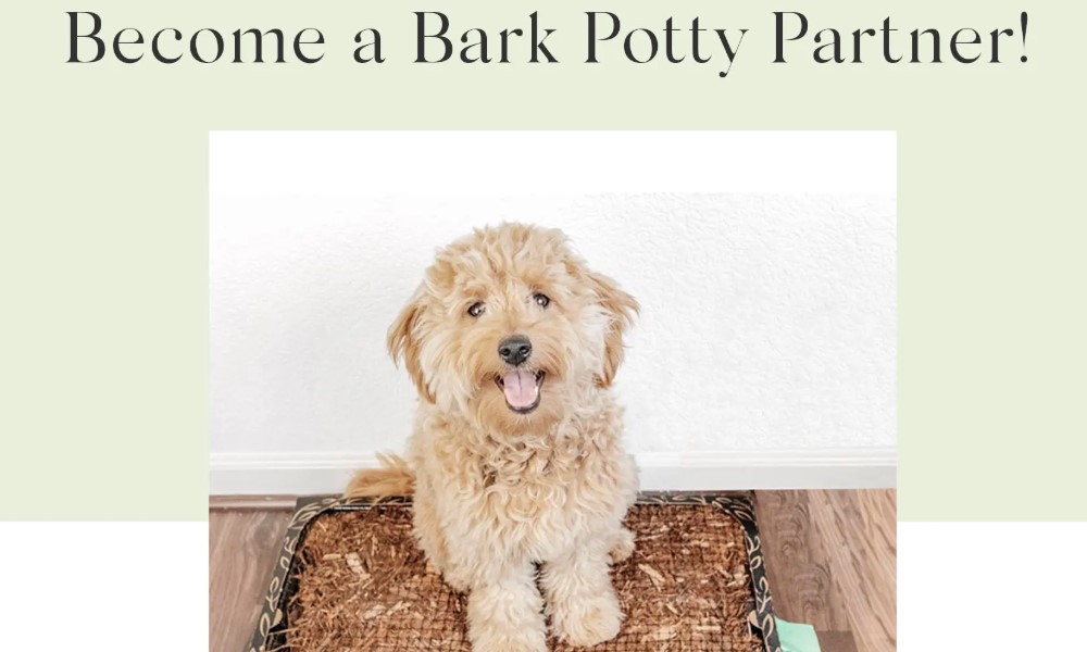 bark potty affiliate sign up page