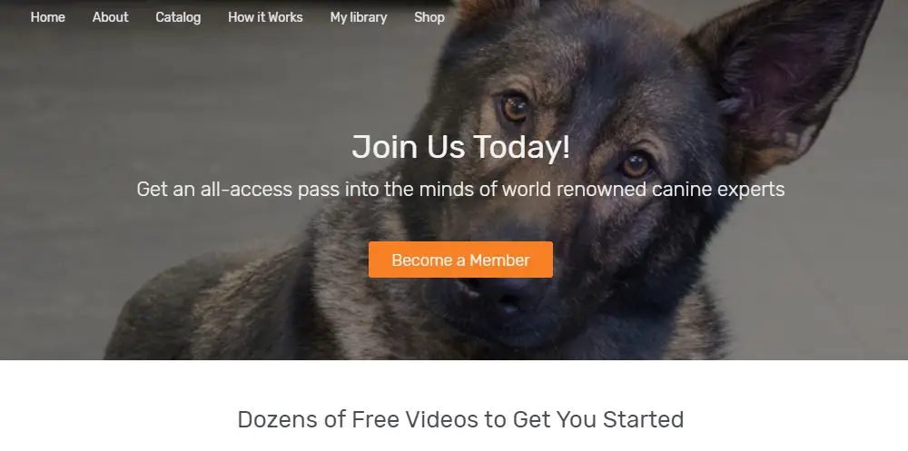 consider the dog home page
