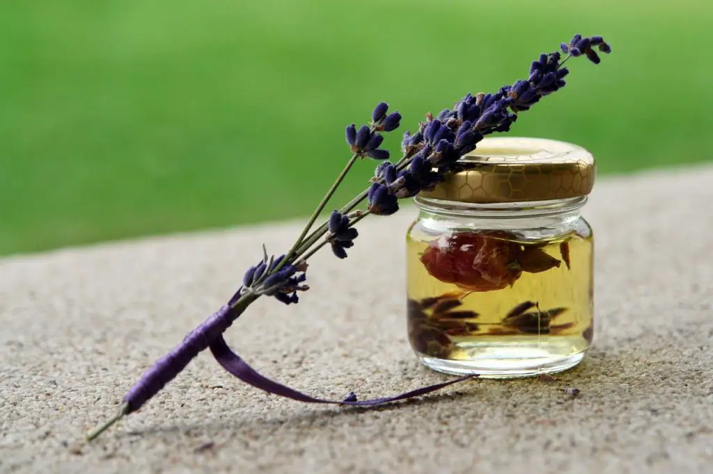 a purple plant and small vial of oil to represent alternative medicine affiliate programs