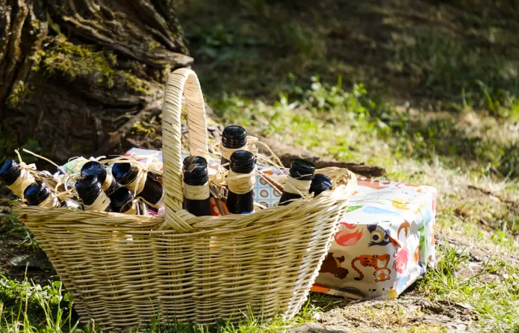 The image shows a straw basket wtih glass bottles placed in the shade under a tree in the countryside for a picnic.